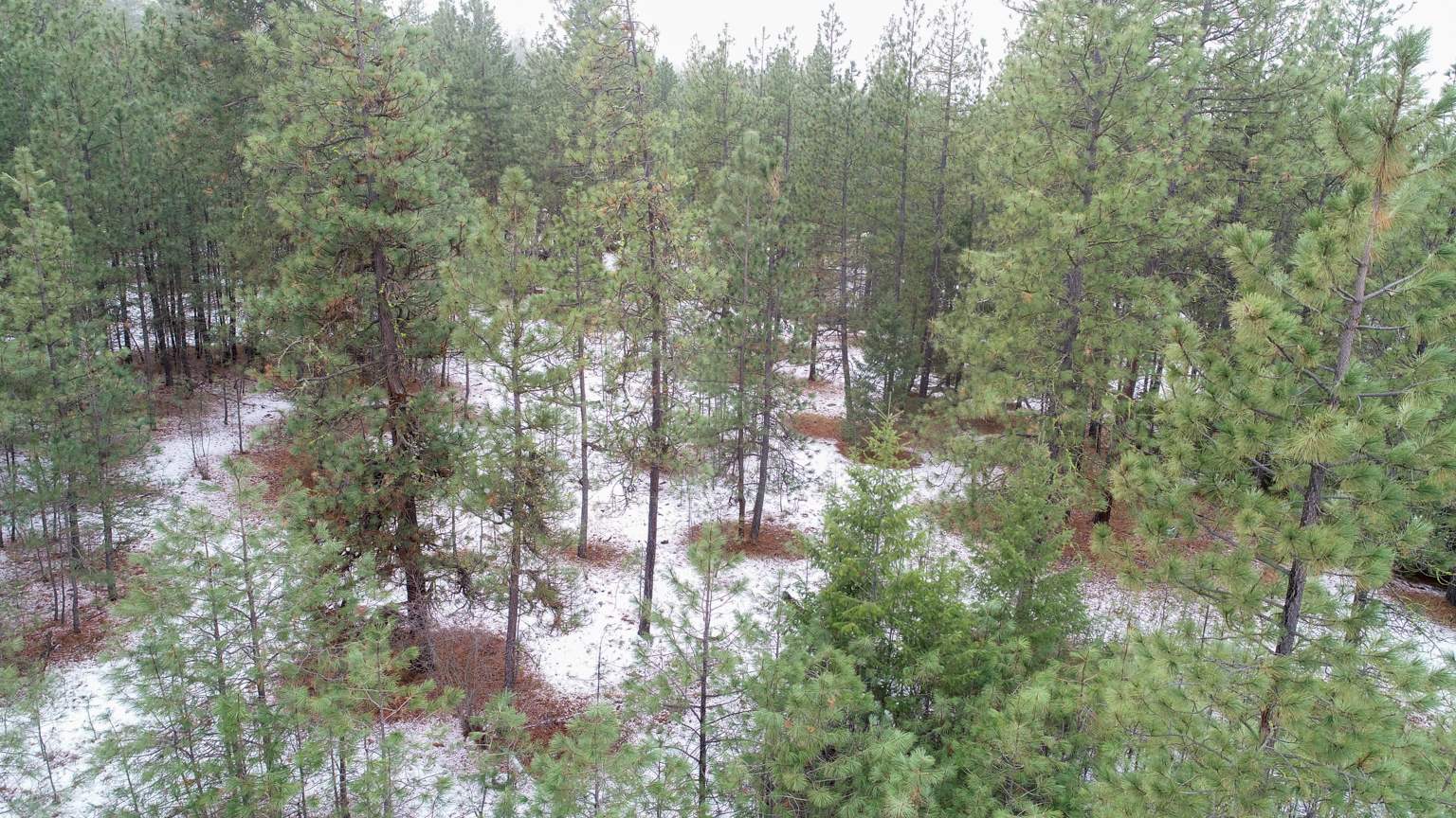 Nka West Long Lake Road Ford, WA 99013 - Photo 24 of 24 Gallery Image 24