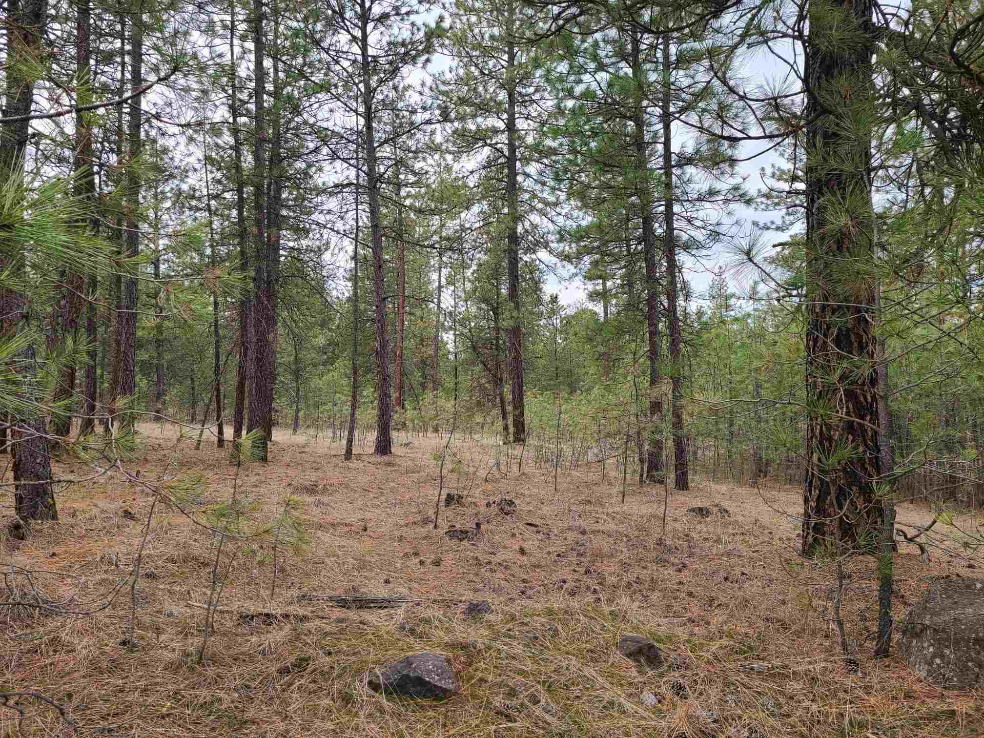 Nka West Long Lake Road Ford, WA 99013 - Photo 5 of 24 Gallery Image 5