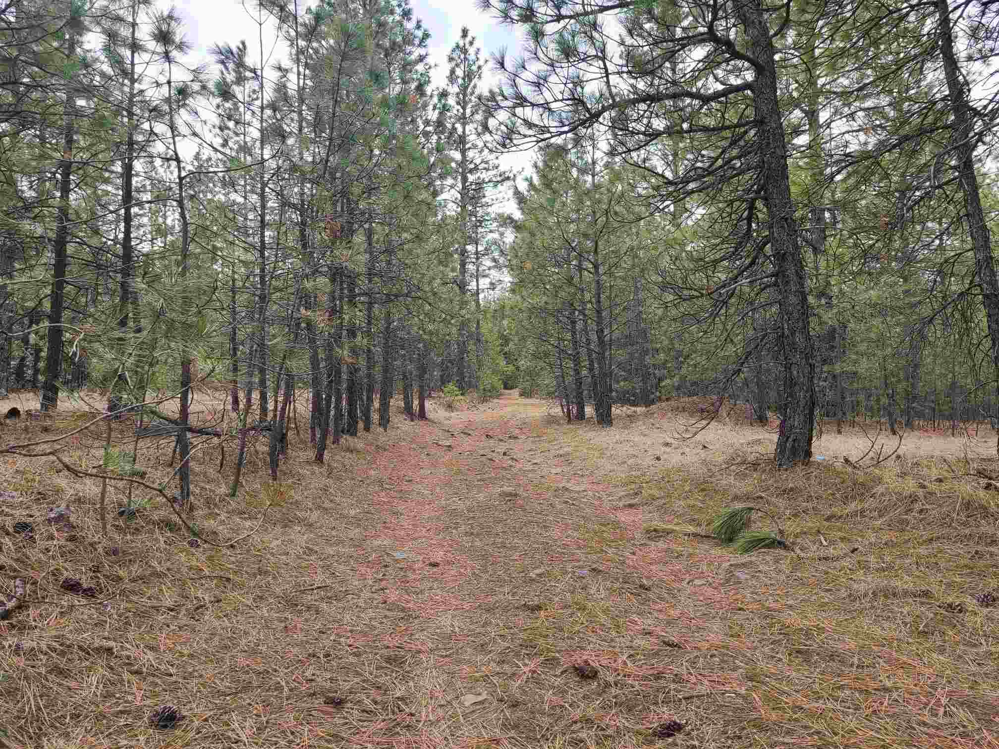 Nka West Long Lake Road Ford, WA 99013 - Photo 6 of 24 Gallery Image 6