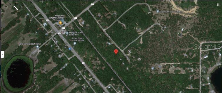 3rd Street Keystone Heights, FL 32656 - Photo 4 of 6 a close up of a plant in a garden