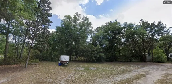 a view of a trees
