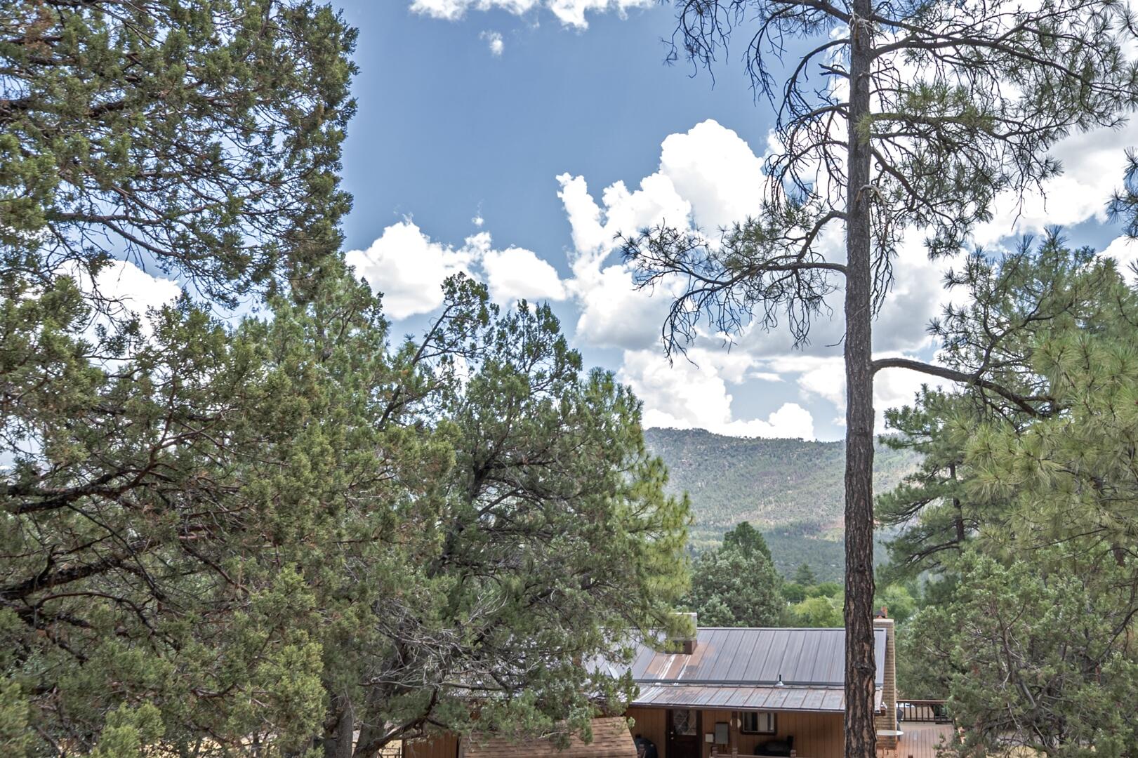 3943 Pine Road Pine, AZ 85544 - Photo 26 of 31