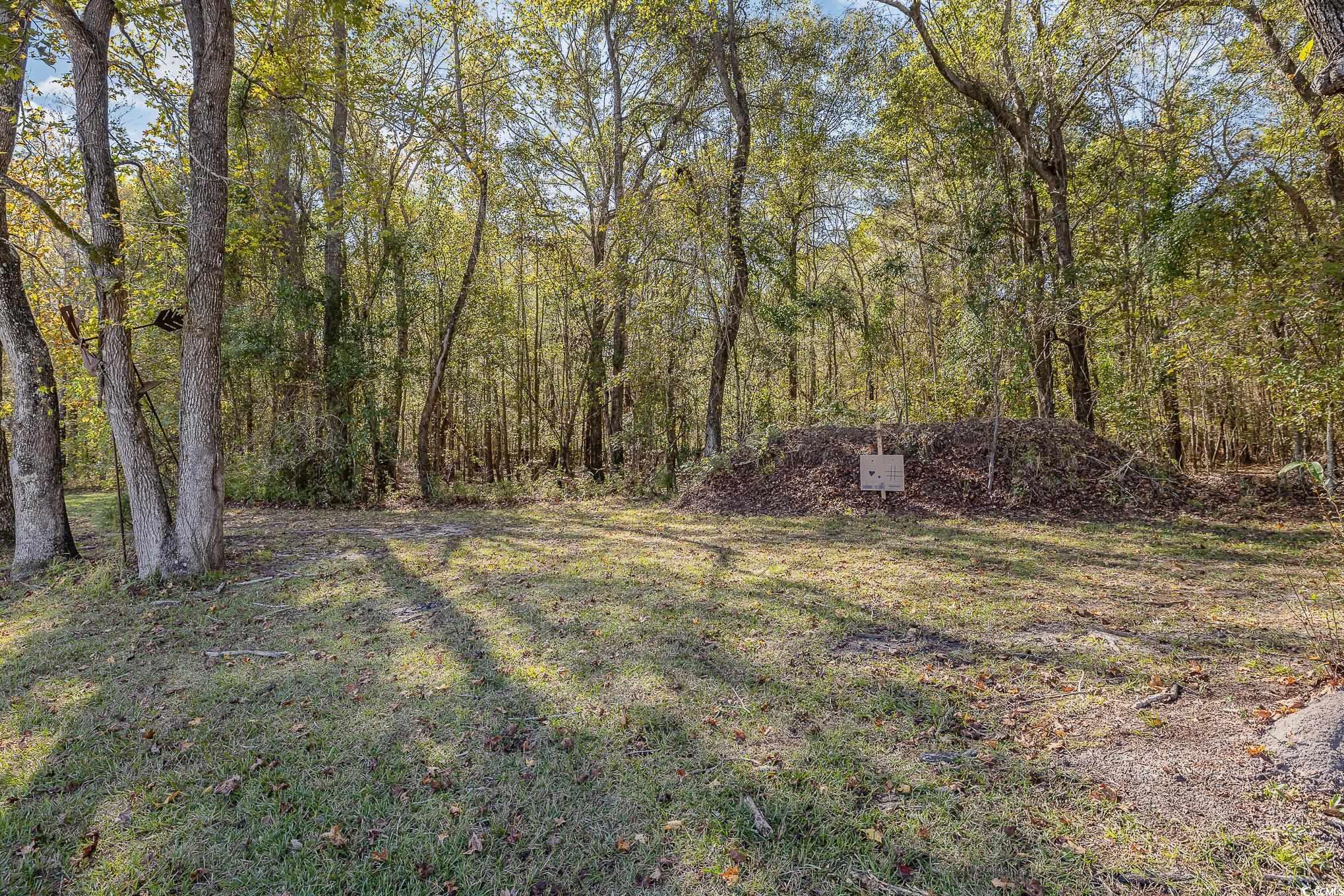 1555 Big Swamp Road Pamplico, SC 29583 - Photo 13 of 40 Gallery Image 13