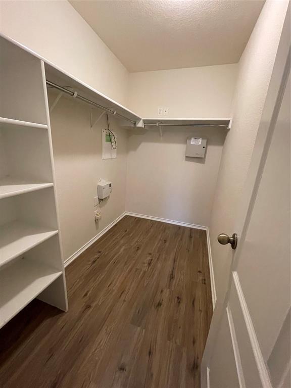 904 Watson Way Pflugerville, TX 78660 - Photo 10 of 16 Spacious closet featuring dark wood-type flooring