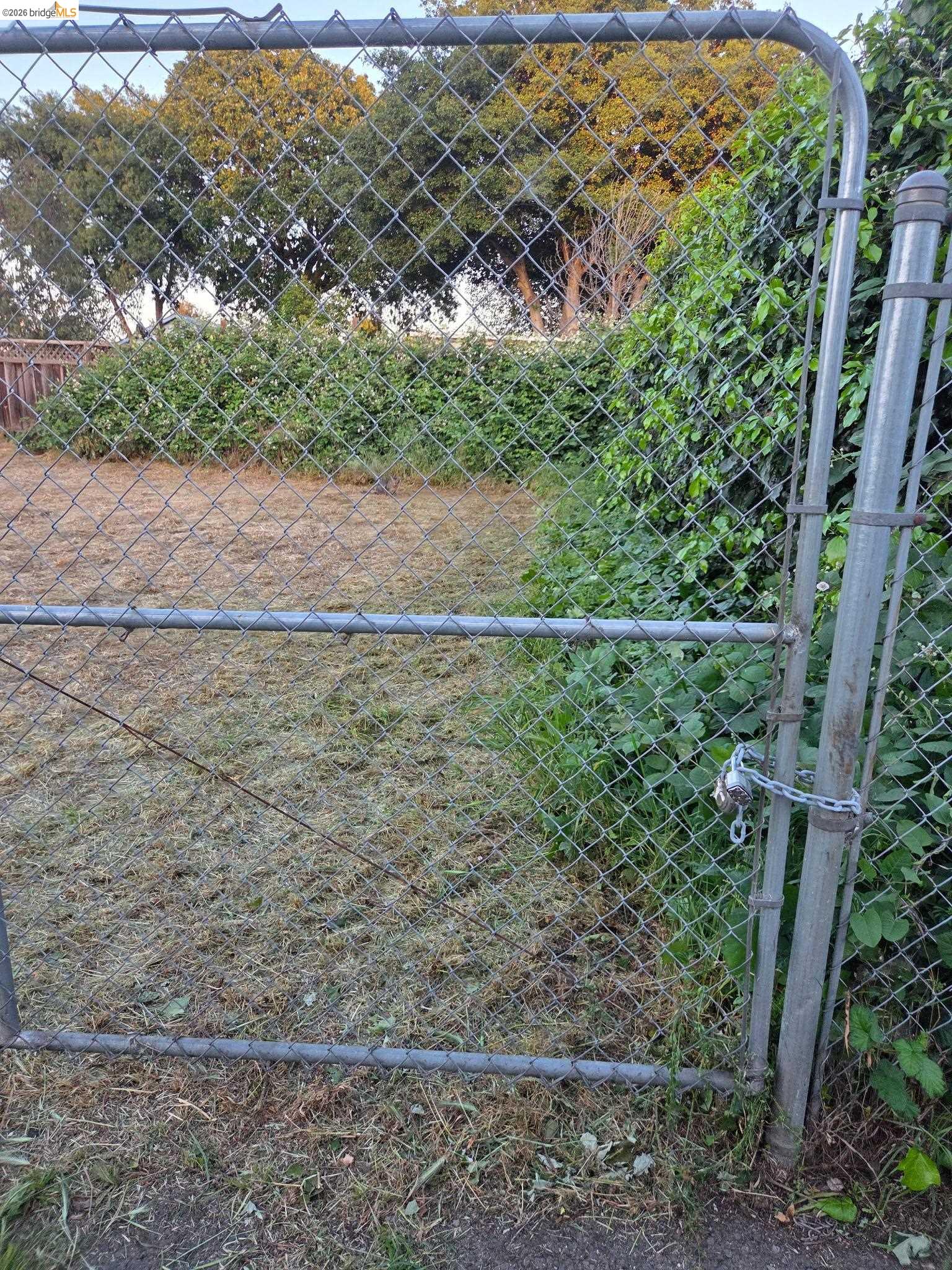 462 Springs Road Vallejo, CA 94590 - Photo 9 of 9 Chain-link fence gate opening to a substantial outdoor space