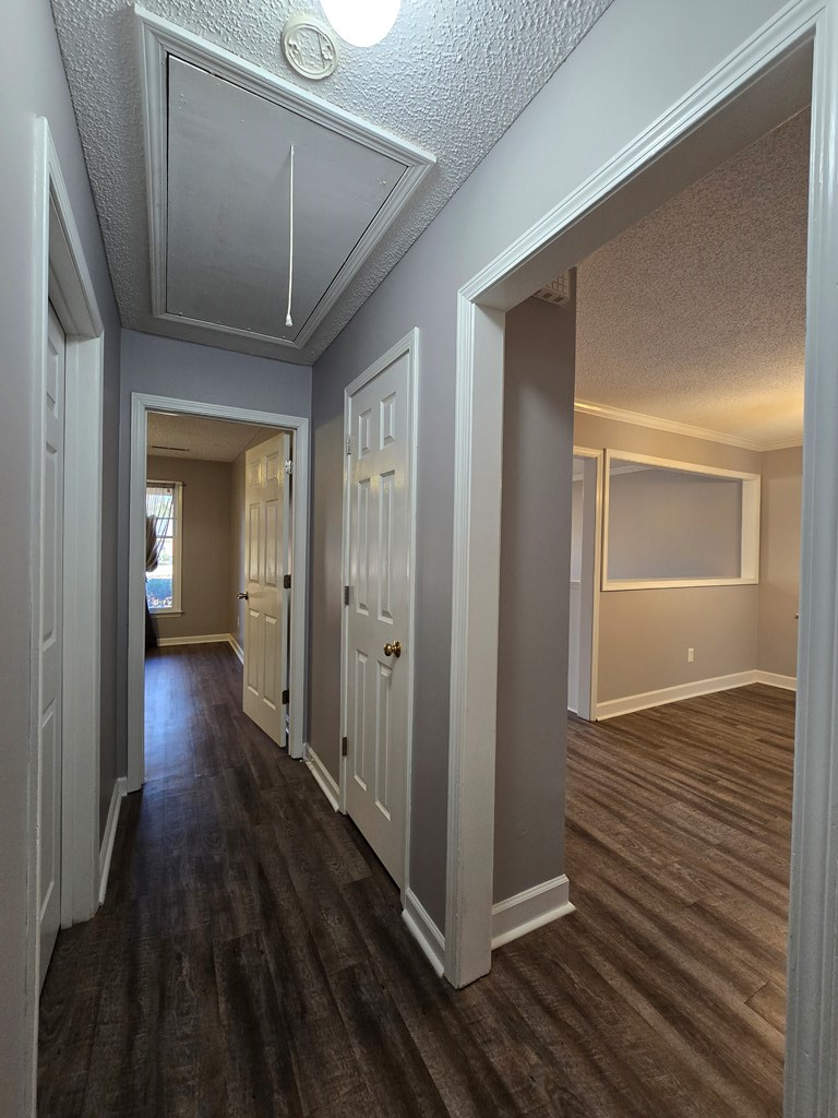 2230 Tudor Street Sumter, SC 29150 - Photo 5 of 14