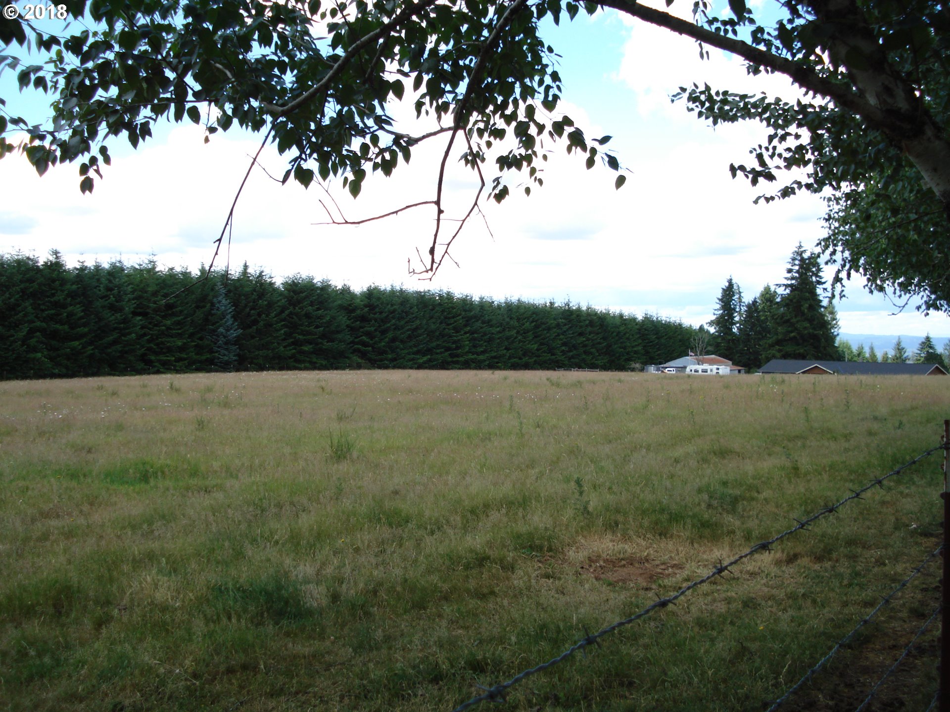 a view of a field with tree in the background