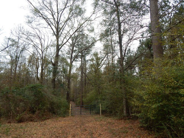 8 Magee Hill Road Tylertown, MS 39667 - Photo 1 of 1 Main View
