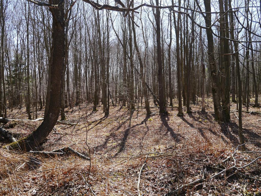 50 Poplar Road Pleasant Mount, PA 18453 - Photo 4 of 6