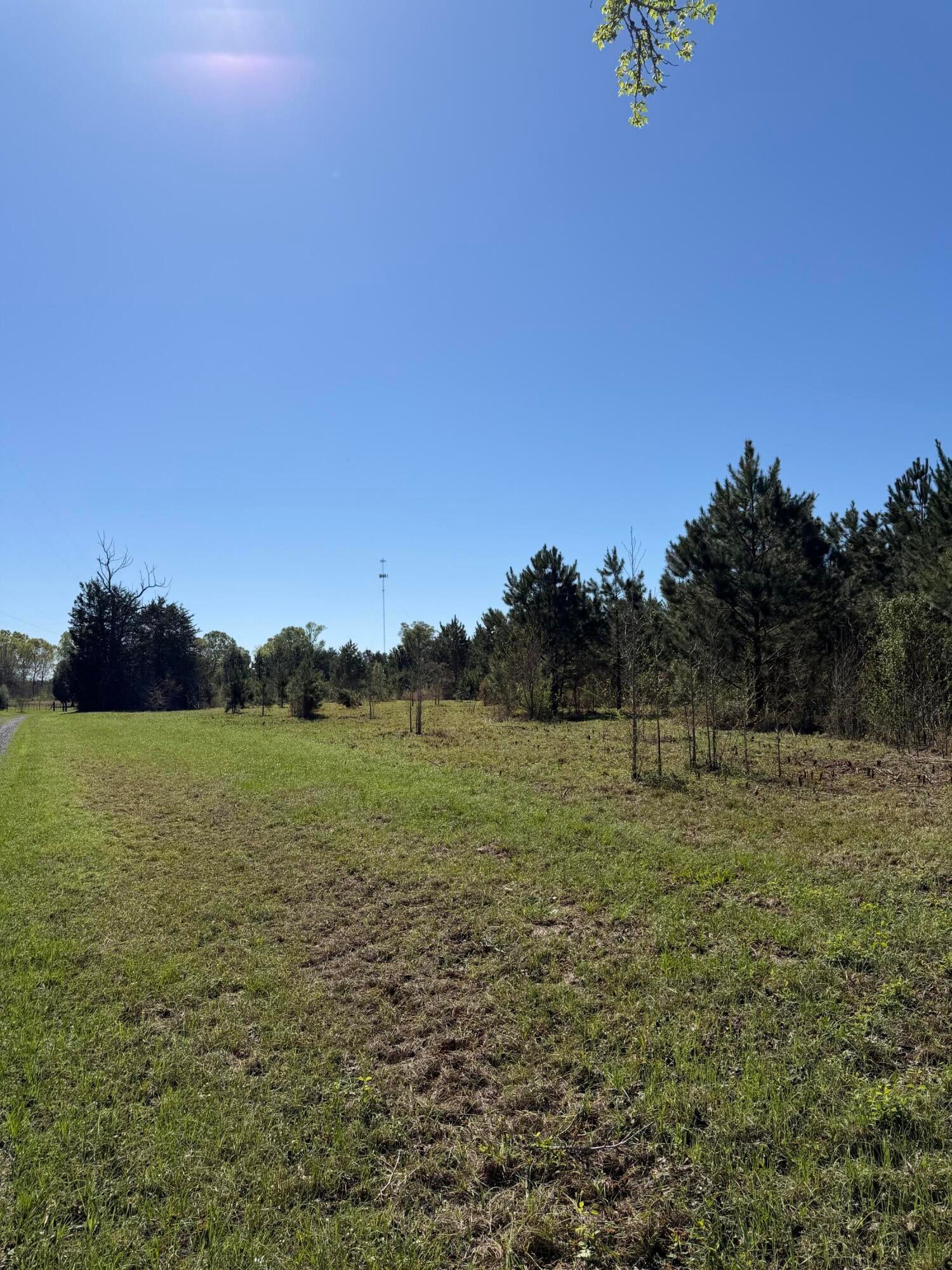 Archie Wilbert Leesville, LA 71446 - Photo 3 of 6 Gallery Image 3