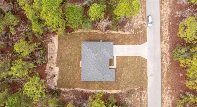 a house that has a tree in front of it