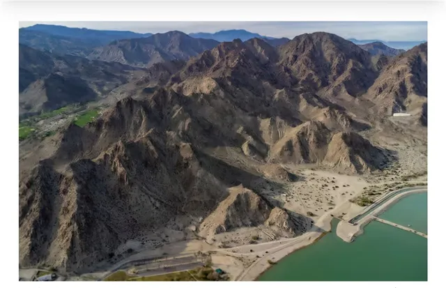 a view of a dry yard