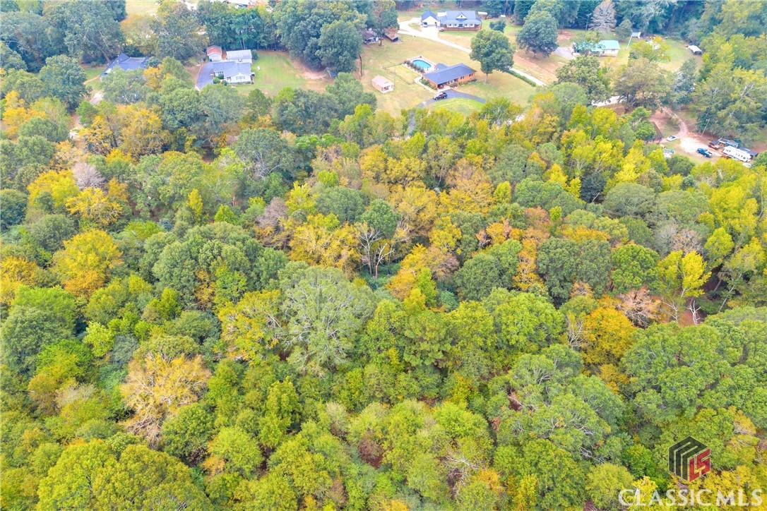 0 Cedar Nicholson, GA 30565 - Photo 12 of 17
