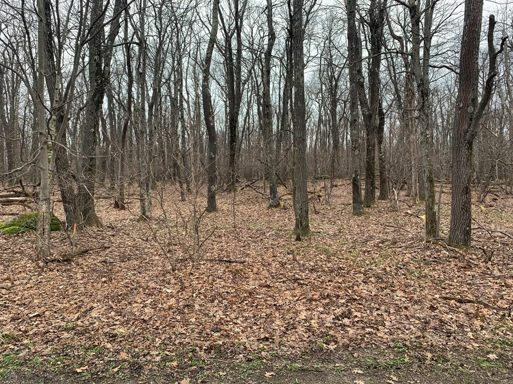 Lot 150 Shawnee View Road Central City, PA 15926 - Photo 18 of 23 Gallery Image 18