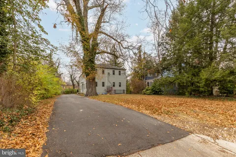 a view of road and trees