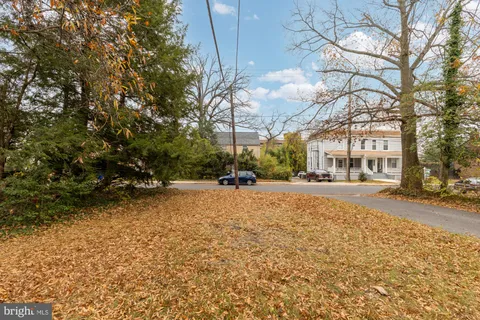 a view of road with large trees