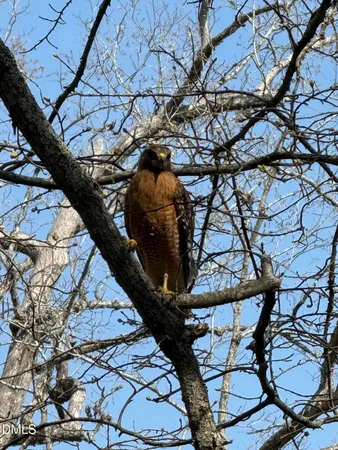 $950,000 | 31 Mt Bolus Road, Chapel Hill, NC 27514