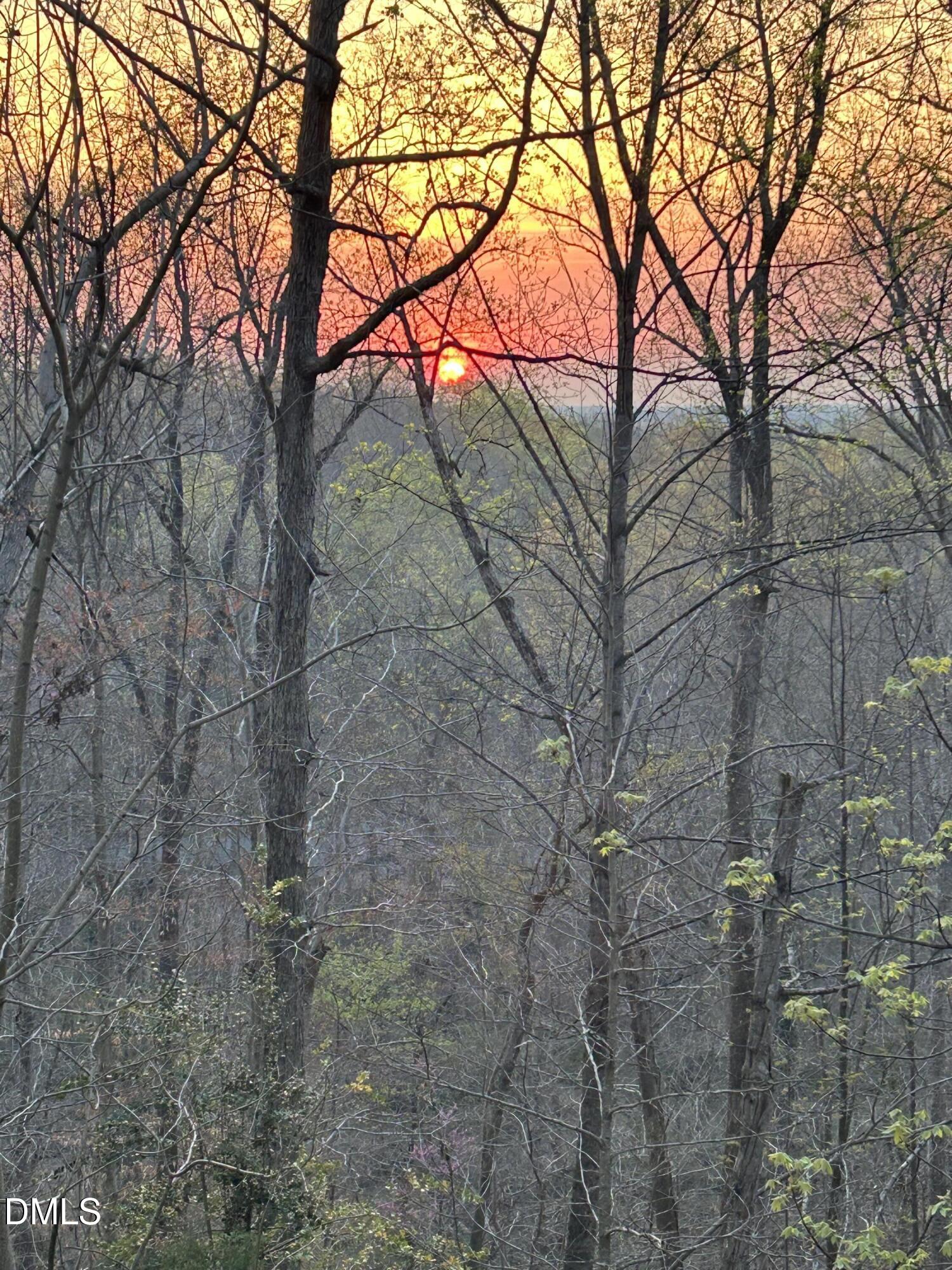 31 Mt Bolus Road Chapel Hill, NC 27514 - Photo 69 of 72 IMG_8189