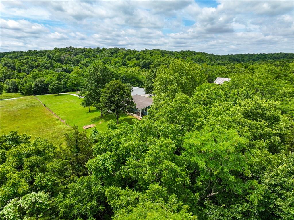 5855 Southeast 981 Pvt Road Collins, MO 64738 - Photo 10 of 79