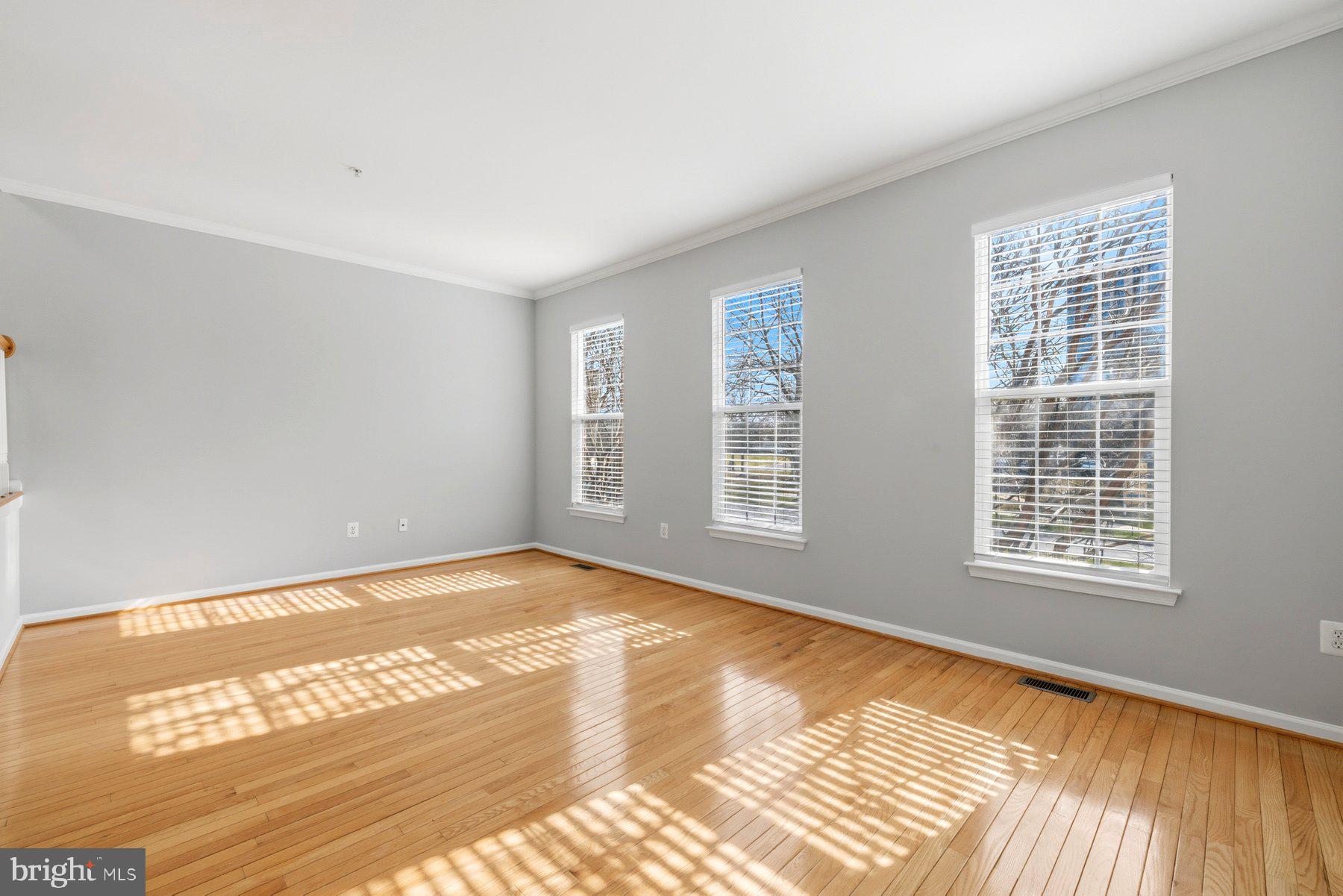 9702 Washingtonian Boulevard Gaithersburg, MD 20878 - Photo 22 of 30 The Light Flows in The Living room