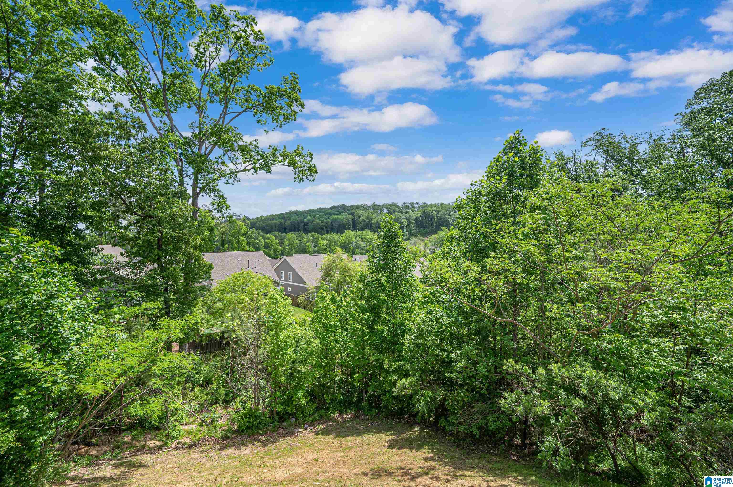 1313 Grants Way Birmingham, AL 35210 - Photo 39 of 44