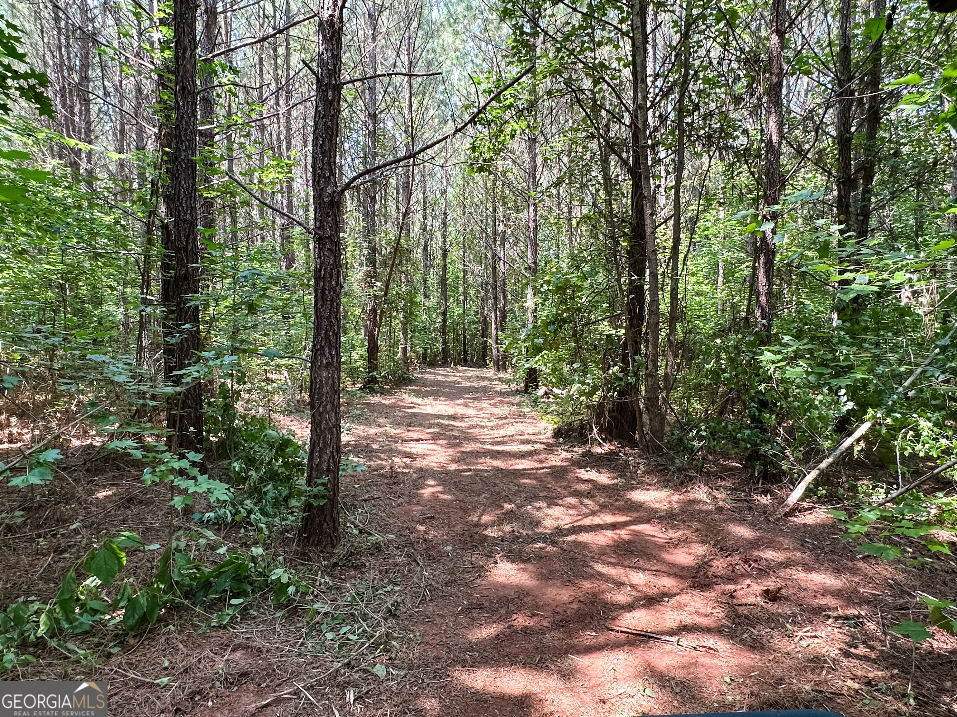 0 Jordan Road, Unit 17 79 ACRES Monticello, GA 31064 - Photo 26 of 38 Gallery Image 26