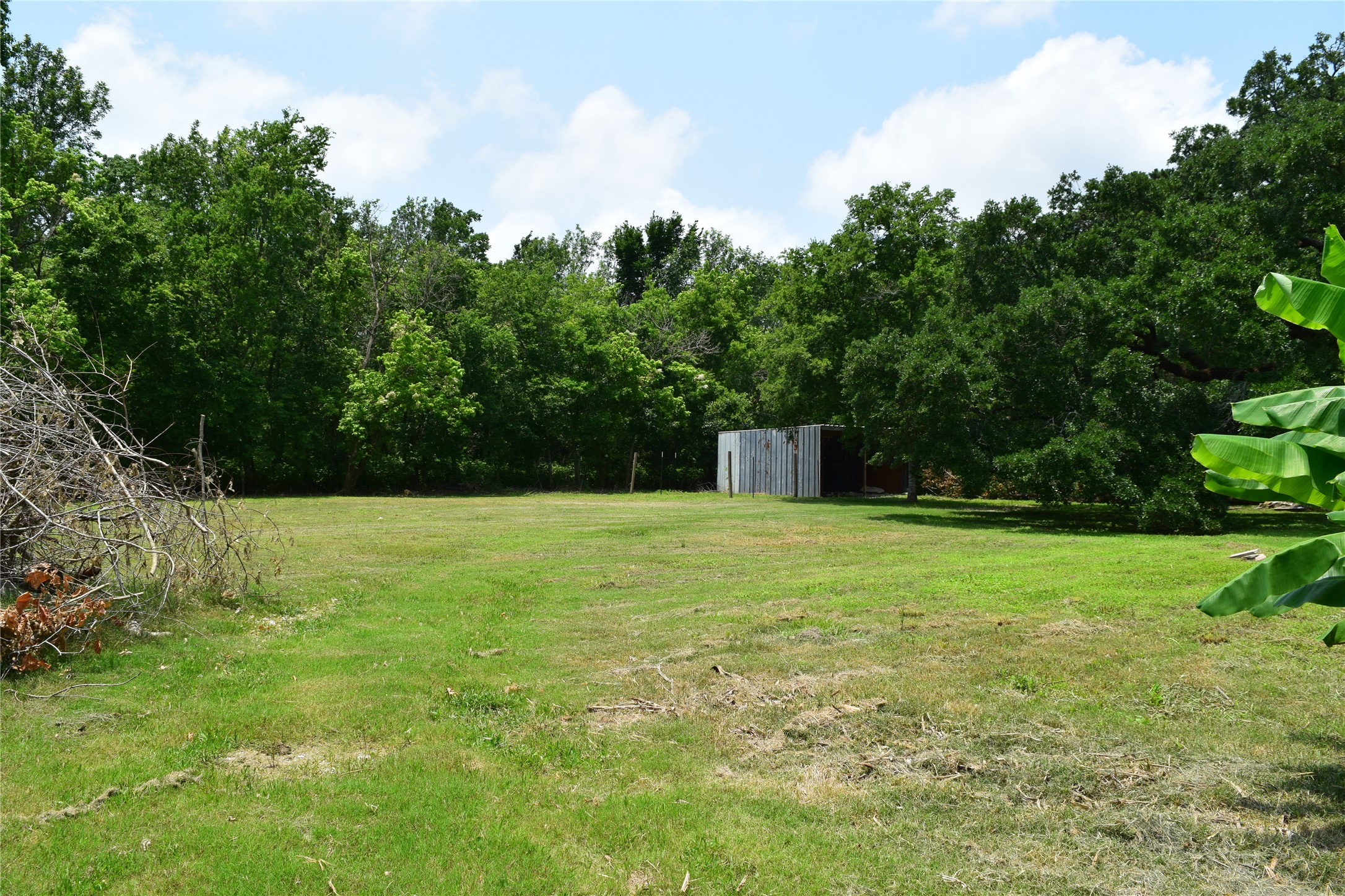 7234 Bissell Road Manvel, TX 77578 - Photo 6 of 14 a backyard of a house with lots of green space