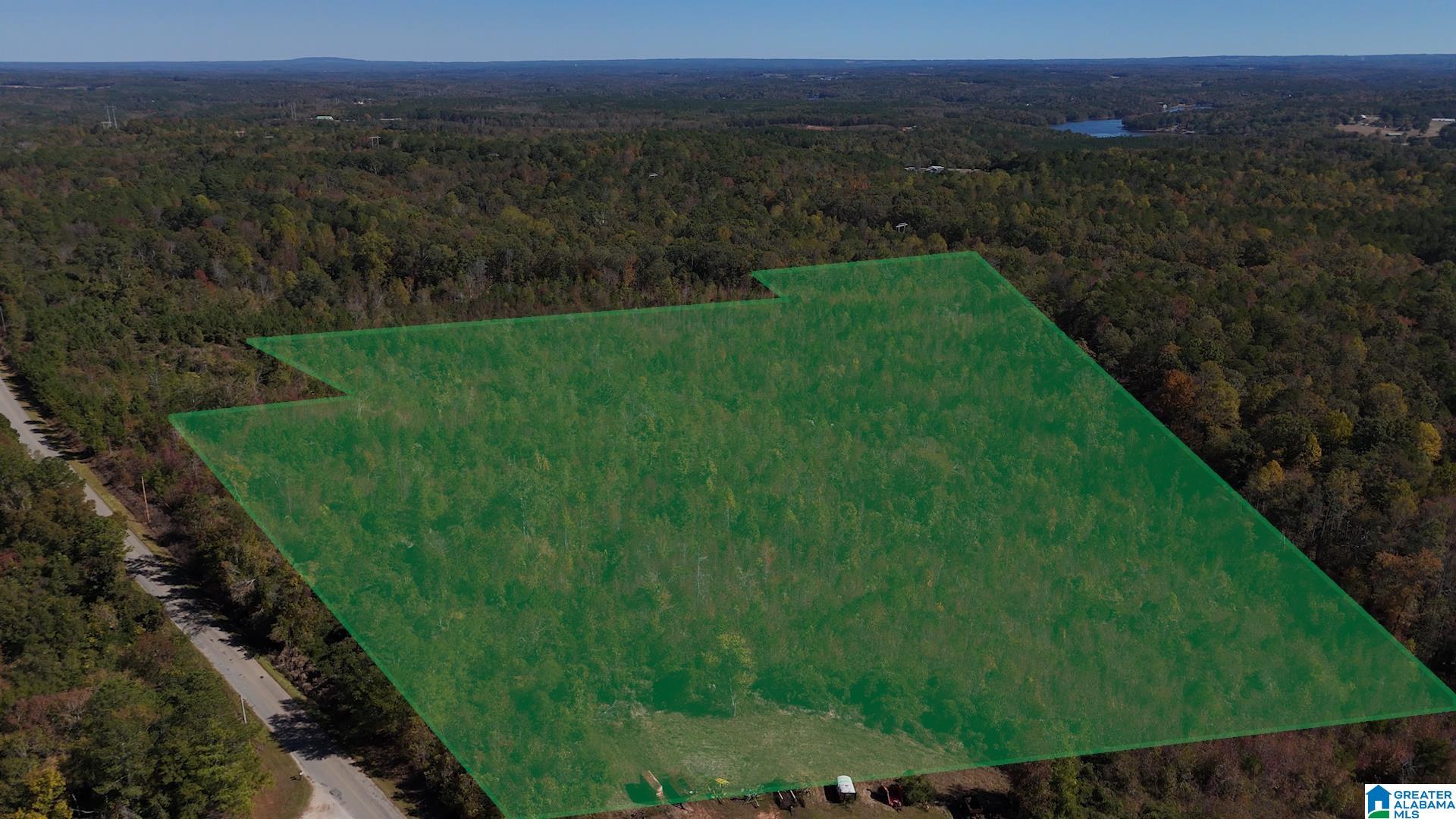 0 County Road 99, Unit 1 Wedowee, AL 36278 - Photo 3 of 5