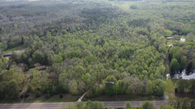 a view of a forest with houses