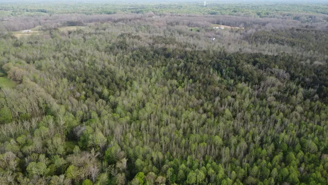 a view of a field of grass and trees