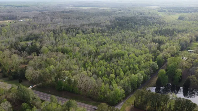 a view of a field of grass and trees