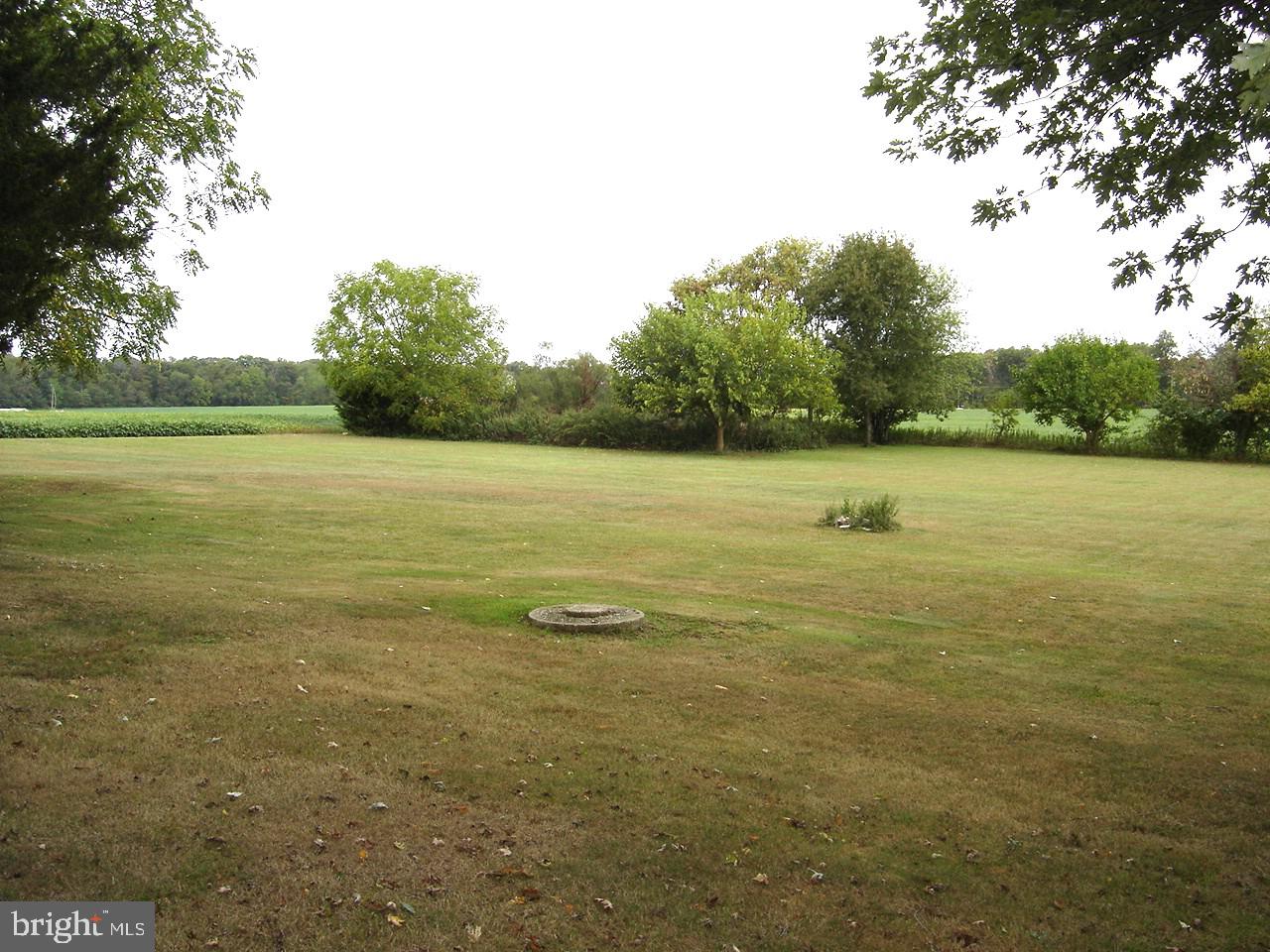 27 Silver Lake Road Bridgeton, NJ 08302 - Photo 4 of 15 Back Yard