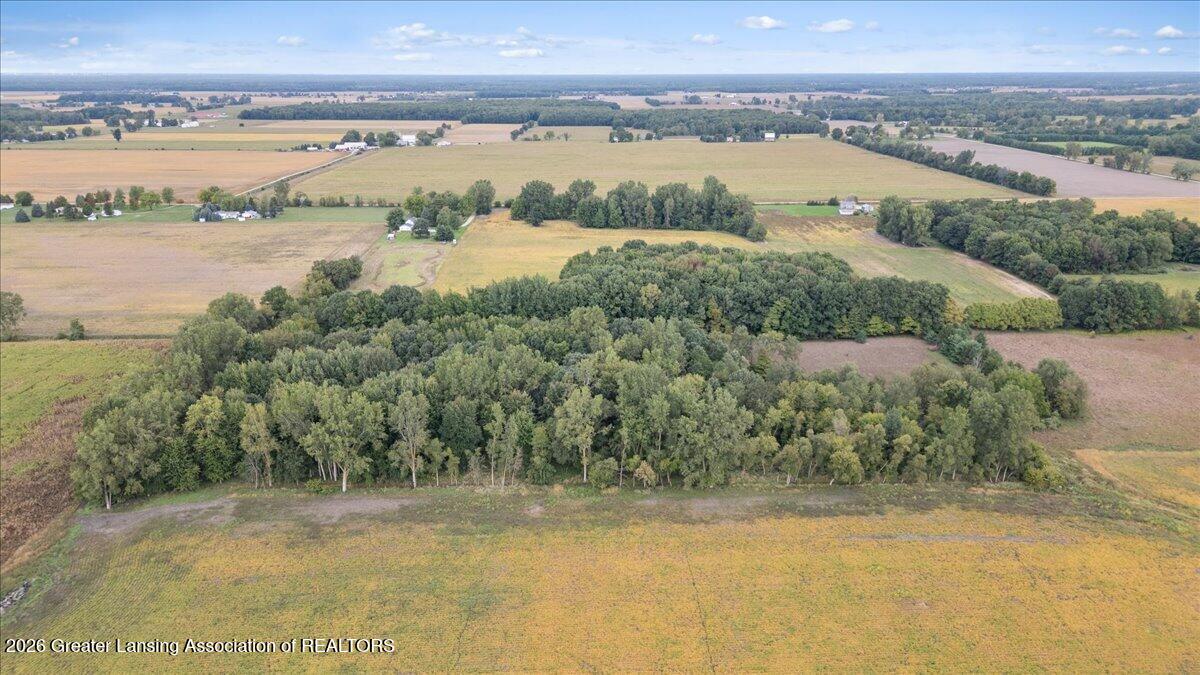 V/l West Huff Road Elsie, MI 48831 - Photo 8 of 9 08-Media Jett -05