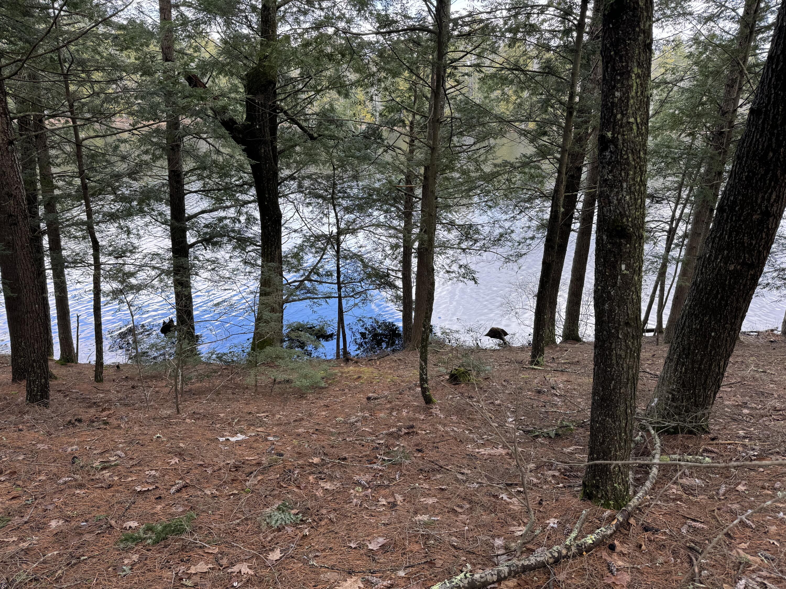 148 Beaver Brook Road Limerick, ME 04048 - Photo 11 of 12 IMG_4912