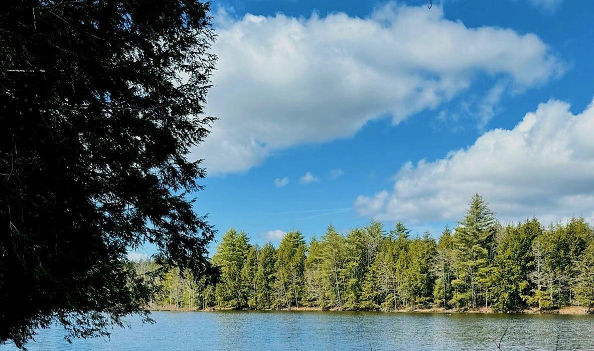 148 Beaver Brook Road Limerick, ME 04048 - Photo 2 of 12 image000000 (1)