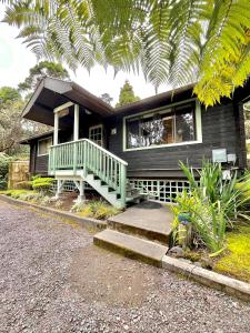 19-4095 Anuhea Cir Drive Volcano, HI 96785 - Photo 1 of 12