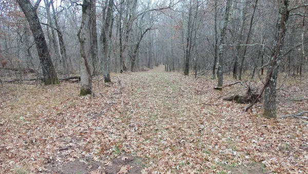 $64,900 | Lot 6 Canute Creek Trail, Grantsburg, WI 54840