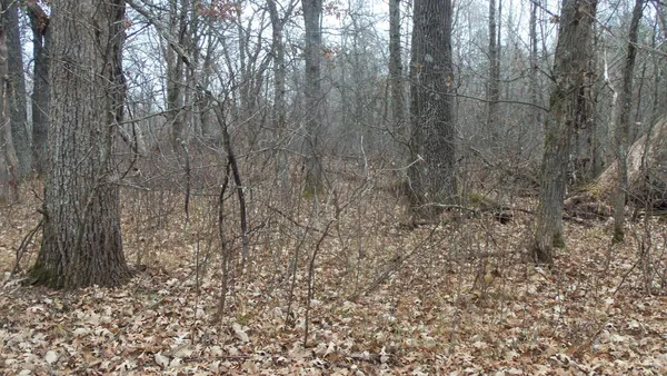 $64,900 | Lot 6 Canute Creek Trail, Grantsburg, WI 54840