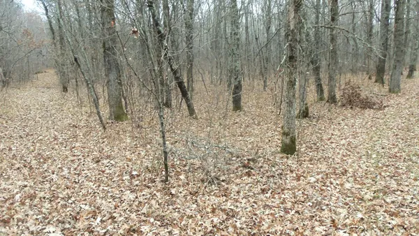 $64,900 | Lot 6 Canute Creek Trail, Grantsburg, WI 54840