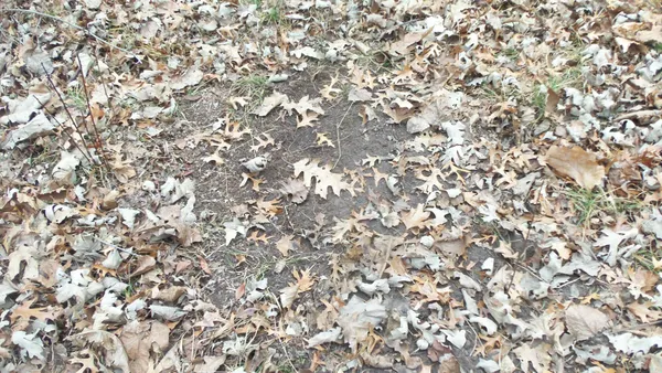 $64,900 | Lot 6 Canute Creek Trail, Grantsburg, WI 54840