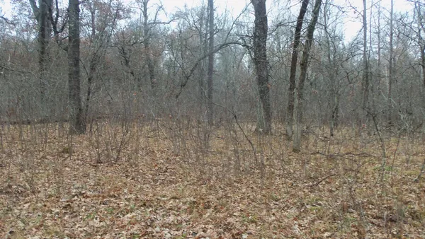 $64,900 | Lot 6 Canute Creek Trail, Grantsburg, WI 54840