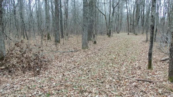 $64,900 | Lot 6 Canute Creek Trail, Grantsburg, WI 54840