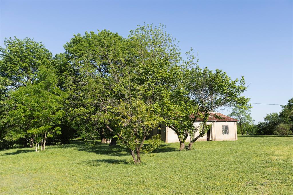3183 Harrell Road Howe, TX 75459 - Photo 34 of 39 a tall tree in middle of green field
