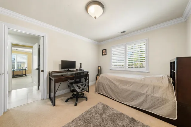 a view of a garden with a tree