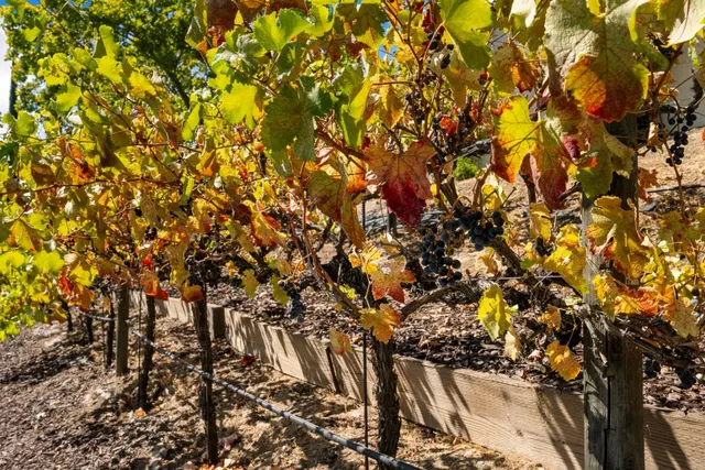 $1,559,000 | 600 Landrise Court, Folsom, CA 95630