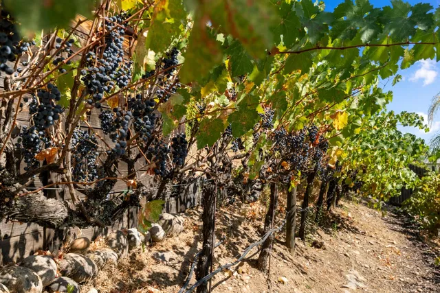 $1,559,000 | 600 Landrise Court, Folsom, CA 95630