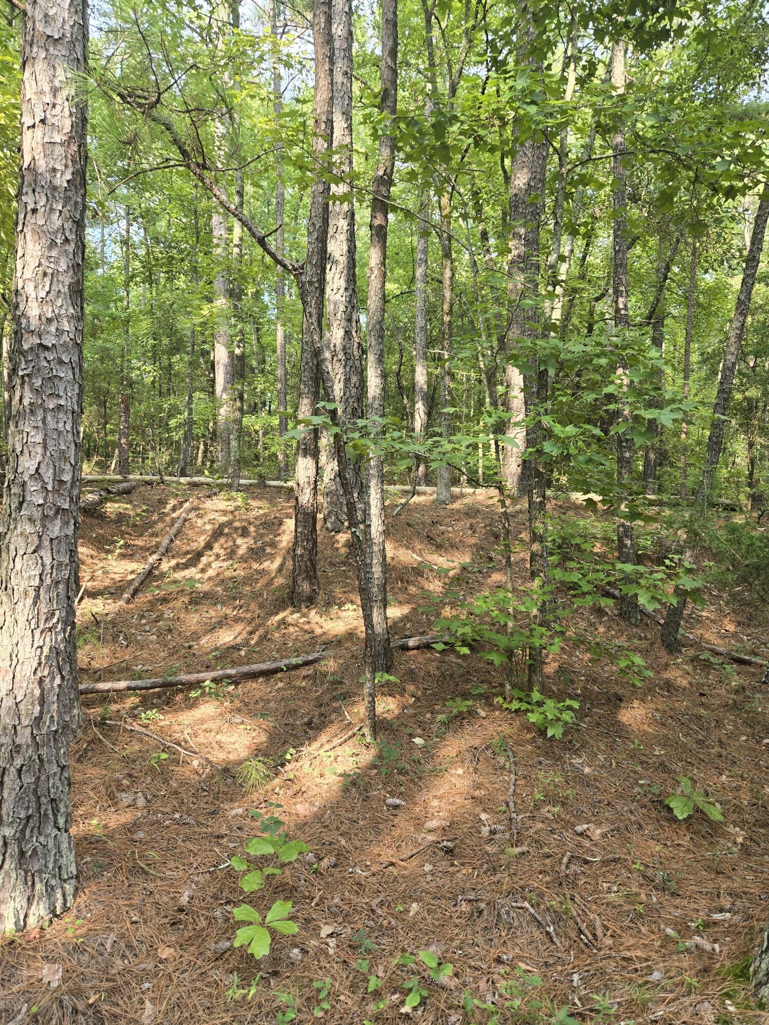 0 Lbk Road Tignall, GA 30668 - Photo 1 of 13 20250818_180248_resized