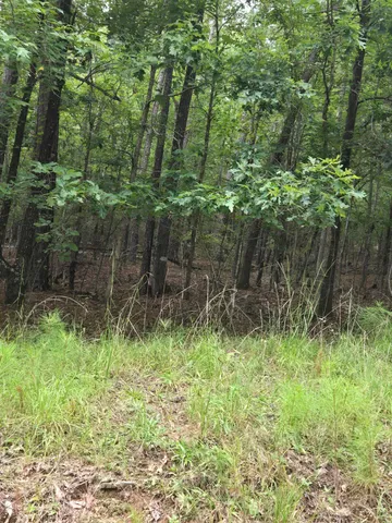 $125,000 | 0 Lbk Road, Tignall, GA 30668