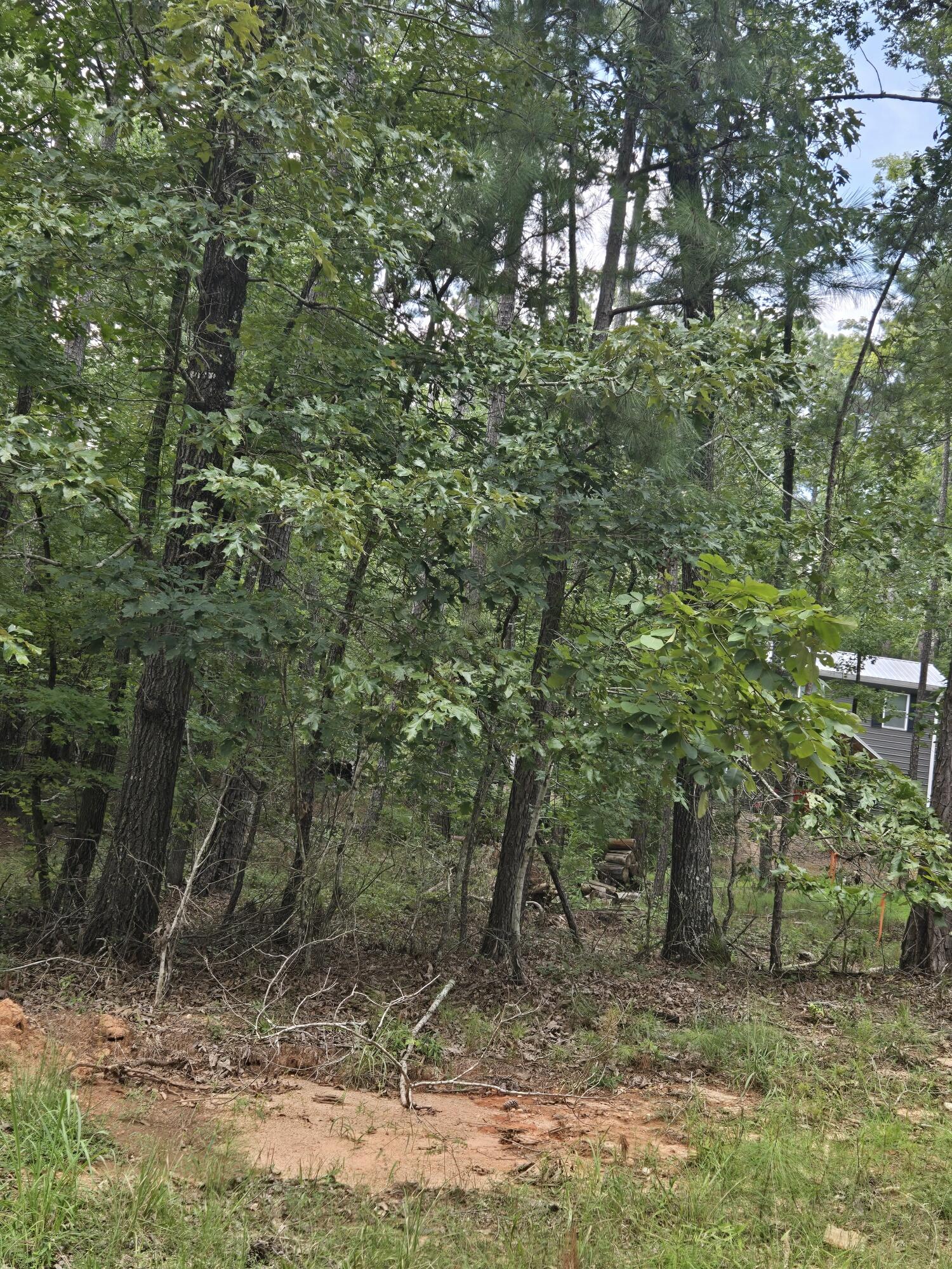 0 Lbk Road Tignall, GA 30668 - Photo 13 of 13 20250818_180651_resized
