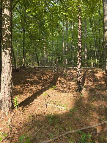 $125,000 | 0 Lbk Road, Tignall, GA 30668